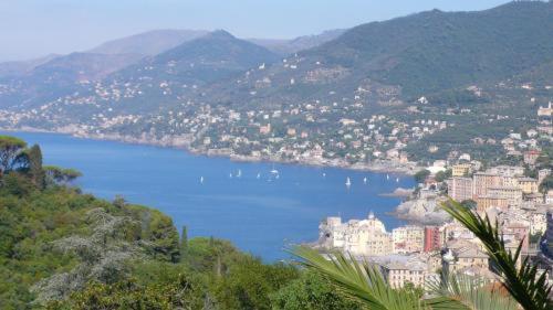 Villa Rosmarino Camogli Exterior photo